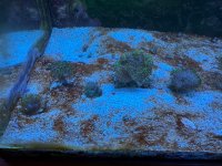 IMG_0342.jpeg