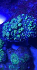 IMG_6800.jpeg
