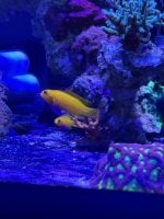 IMG_6586.jpeg