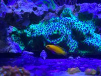 IMG_6554.jpeg