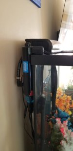 20201011_084137.jpg