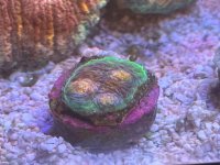 IMG_9347.jpeg