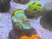 IMG_9349.jpeg