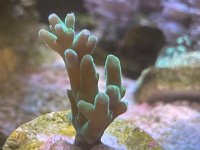 IMG_9351.jpeg