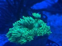 IMG_9352.jpeg