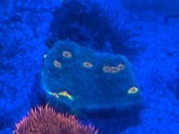 IMG_9353.jpeg