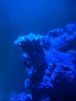 IMG_4593.jpeg