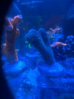 IMG_4602.jpeg