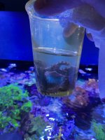 IMG_4393.jpeg