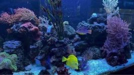 IMG_2925.jpeg