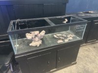 IMG_9084.jpeg