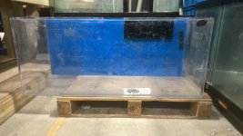 IMG_9076.jpeg
