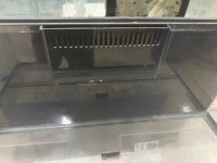IMG_8933.jpeg