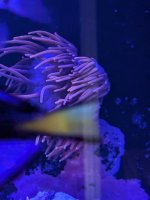 PXL_20240916_214517193.jpg