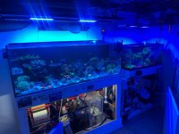 IMG_4661.jpeg
