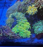 IMG_9557.jpeg