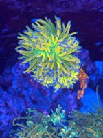 IMG_9439.jpeg