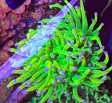 IMG_9558.jpeg
