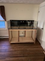 IMG_5415.jpeg