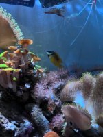 IMG_3796.jpeg