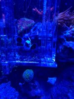 IMG_4636.jpeg