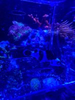 IMG_4637.jpeg
