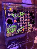 IMG_7638.jpeg