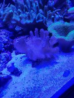 20240922_210541.jpg