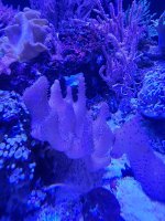 20240922_210547.jpg