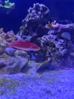 IMG_3843.jpeg