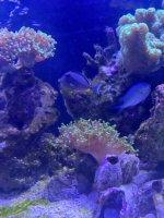 IMG_3838.jpeg