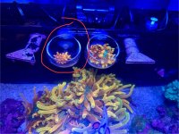 IMG_8402.jpeg