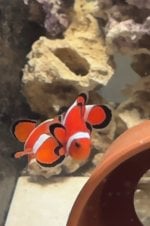 IMG_9134.jpeg