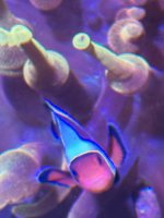 IMG_9235.jpeg