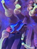 IMG_9238.jpeg