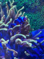 IMG_9210.jpeg