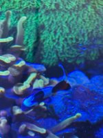 IMG_9212.jpeg