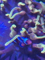 IMG_9214.jpeg