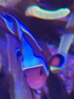 IMG_9245.jpeg