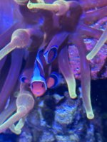 IMG_9233.jpeg