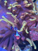 IMG_9220.jpeg