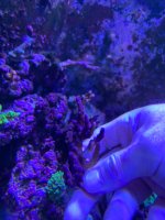 IMG_8230.jpeg
