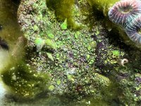 IMG_8641.jpeg