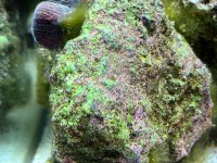 IMG_8637.jpeg