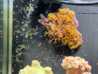 IMG_8638.jpeg