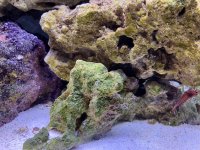 IMG_8649.jpeg