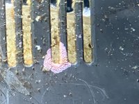IMG_8639.jpeg