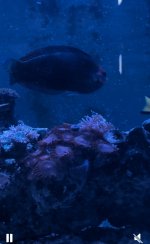 IMG_4871.jpeg