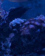 IMG_4872.jpeg