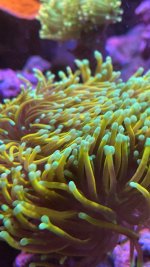 5023737B-DABE-41CB-BE4F-0A93AC6FF37F.jpeg 5023737B-DABE-41CB-BE4F-0A93AC6FF37F.jpeg